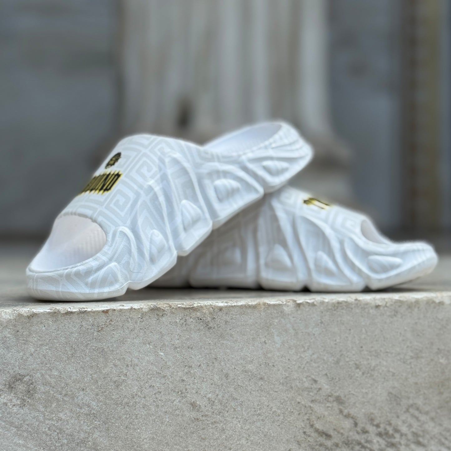 MEDUCA "ATW" Slides