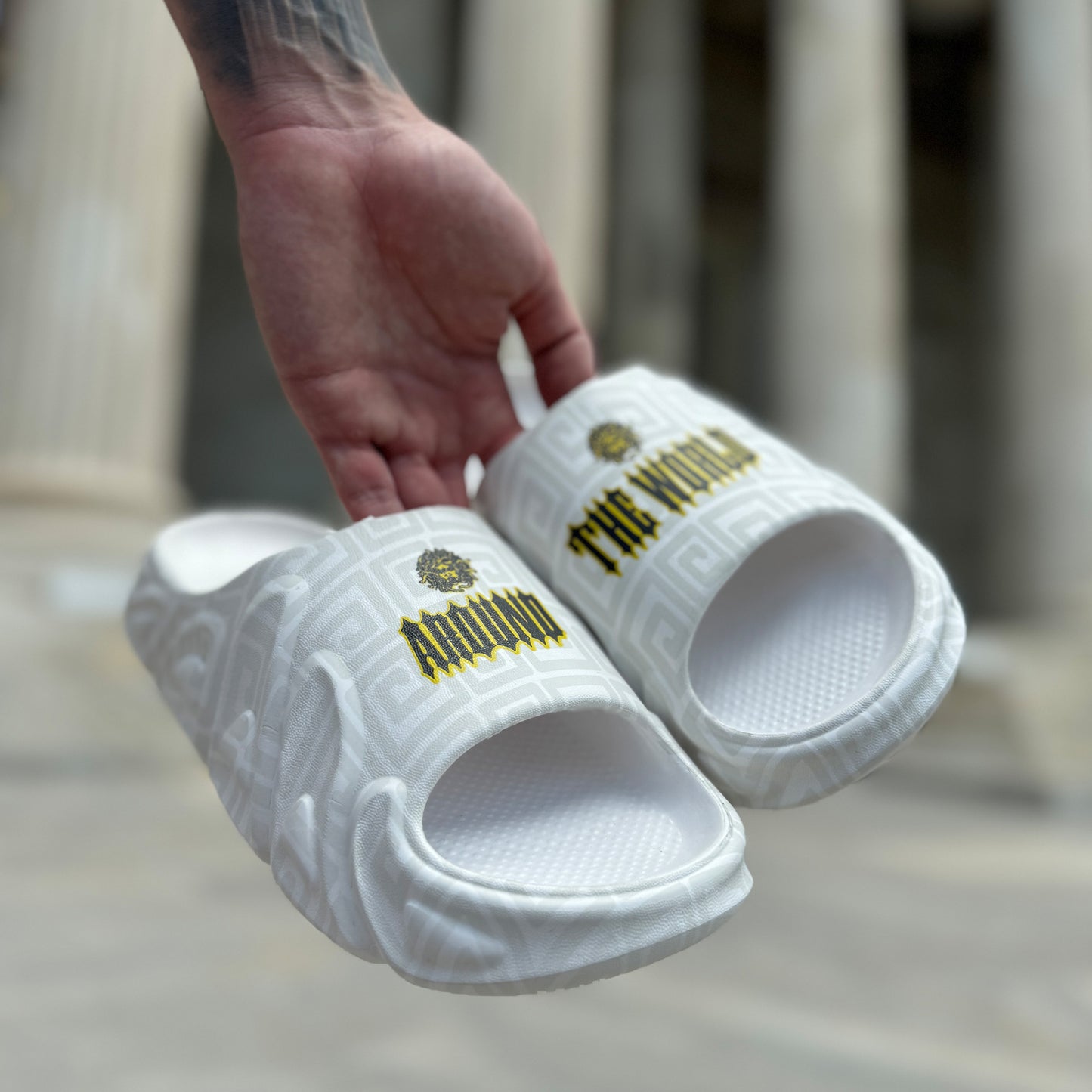 MEDUCA "ATW" Slides
